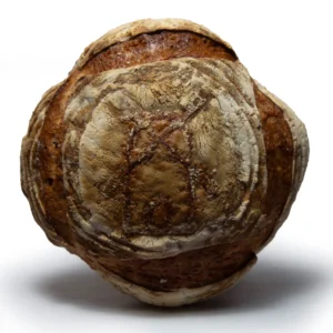 Large Organic Rustic